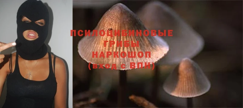 Псилоцибиновые грибы MAGIC MUSHROOMS  Волоколамск 